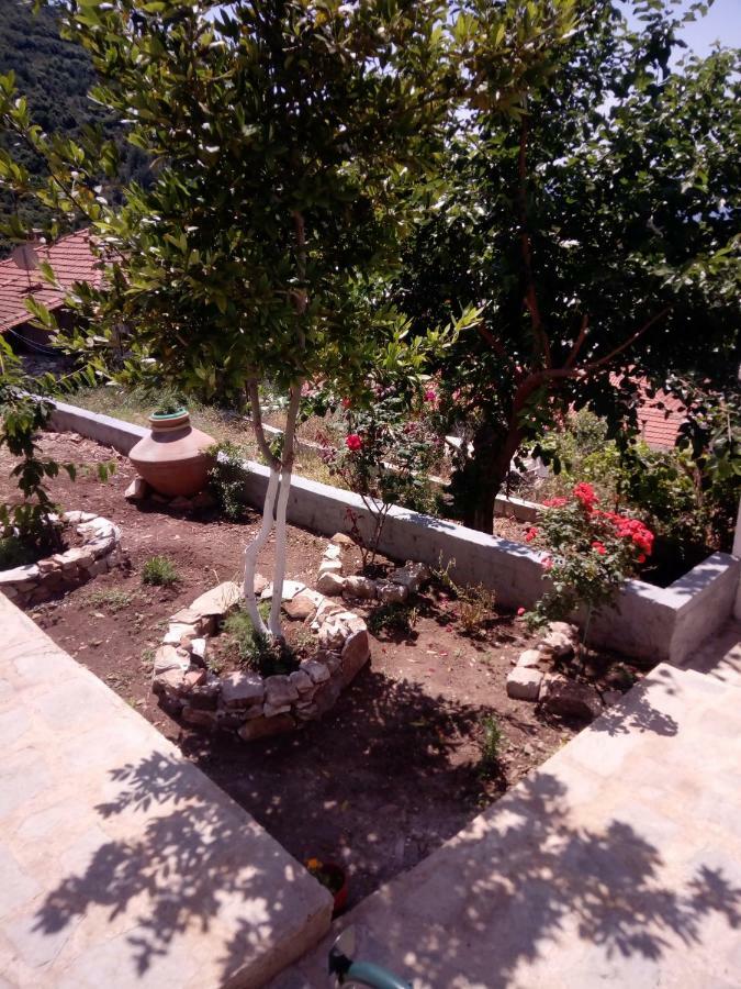 Dimitra'S Garden Villa Kallirákhi Esterno foto