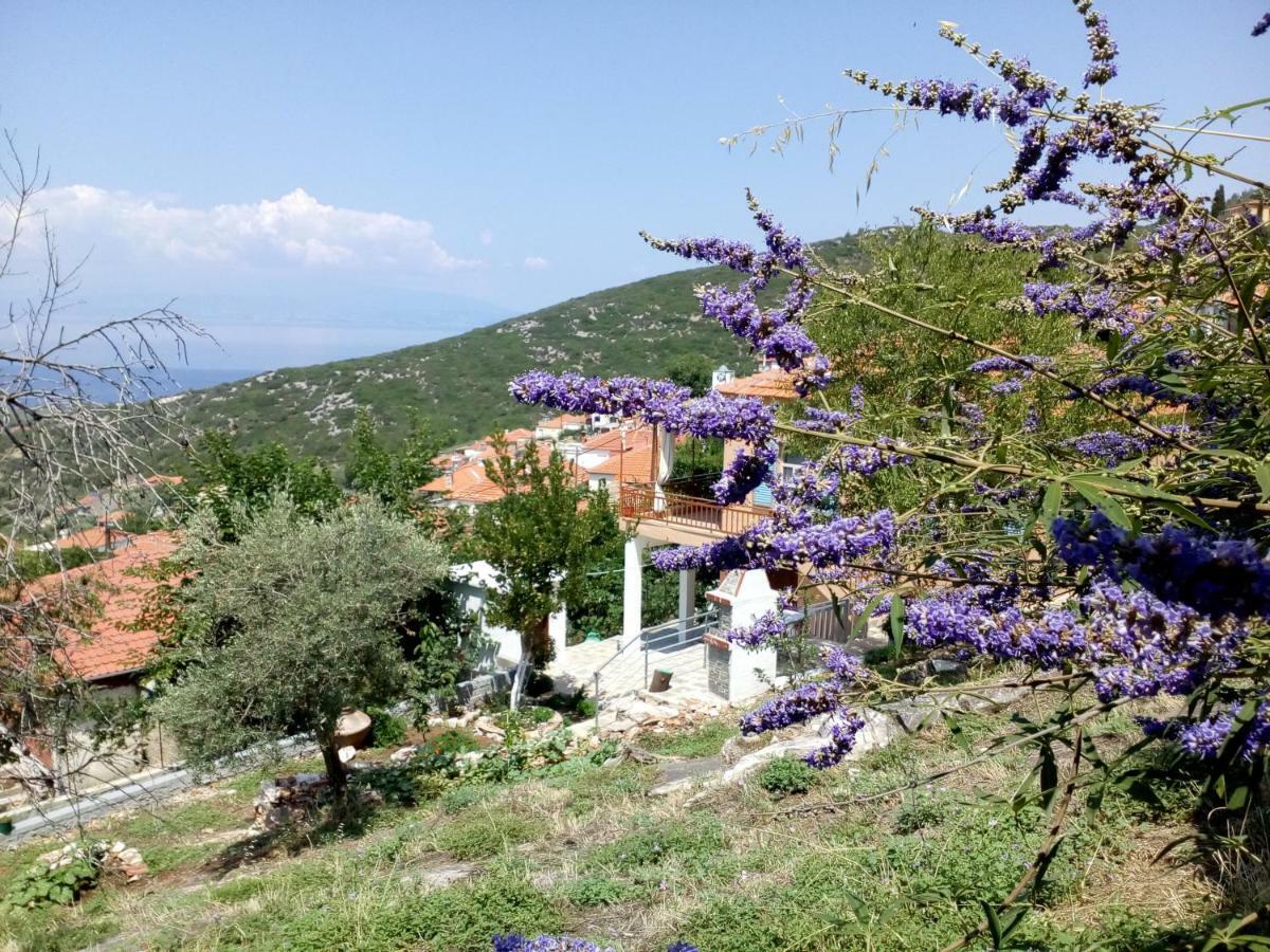 Dimitra'S Garden Villa Kallirákhi Esterno foto